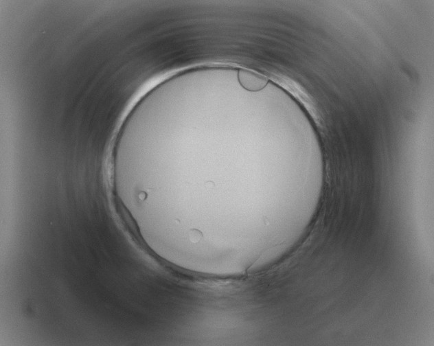 X0000116021428200912312144