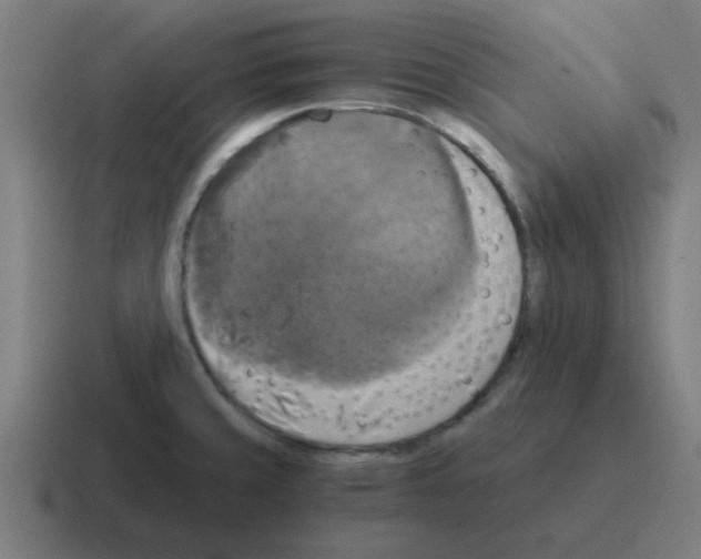 X0000116021429200912312144