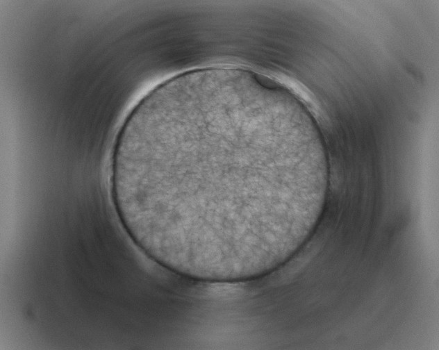 X0000116021430200912312144