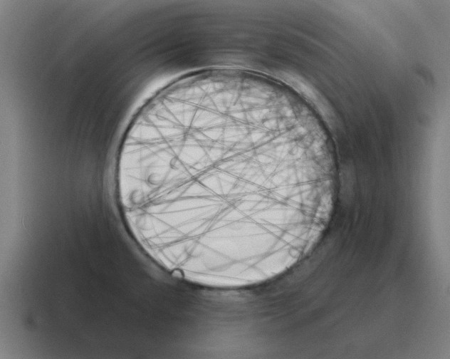 X0000116021432200912312144