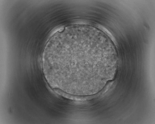 X0000116021433200912312144