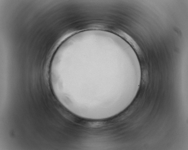 X0000116021435200912312144