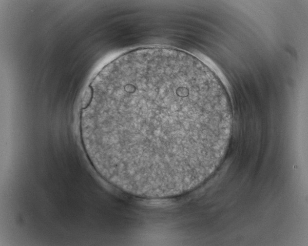 X0000116021437200912312144