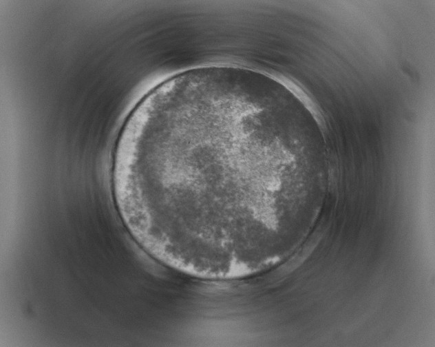 X0000116021438200912312144