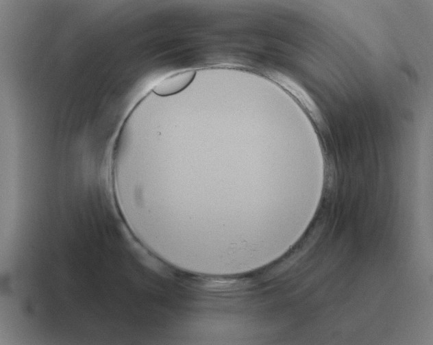 X0000116021439200912312144