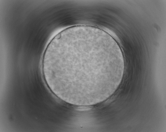 X0000116021440200912312144