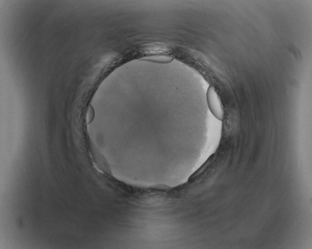 X0000116021441200912312144