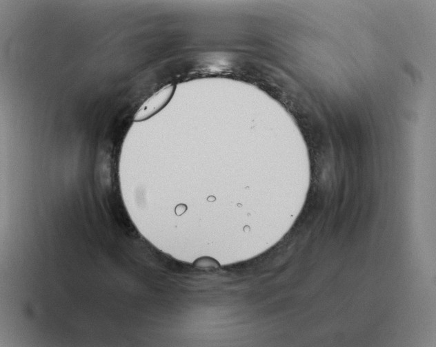 X0000116021442200912312144