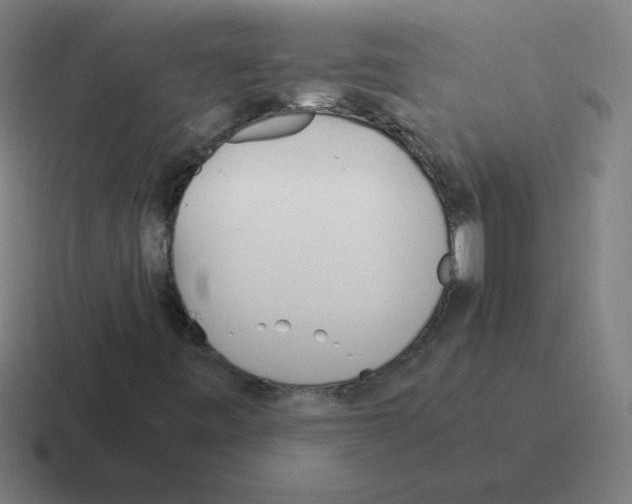 X0000116021443200912312144