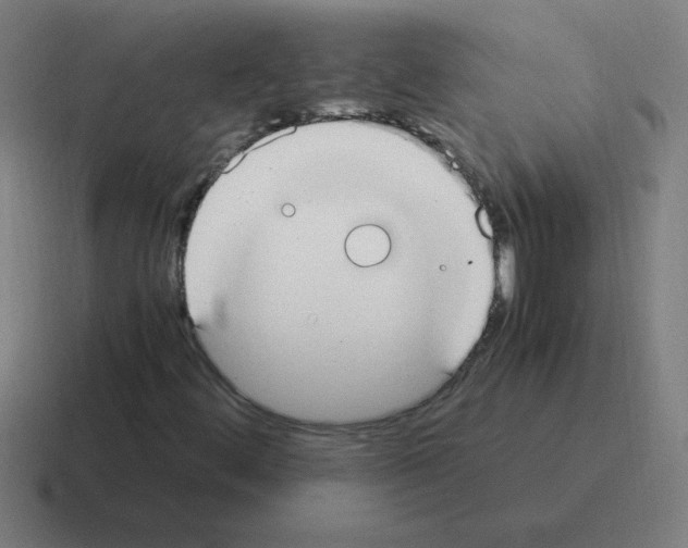 X0000116021444200912312144