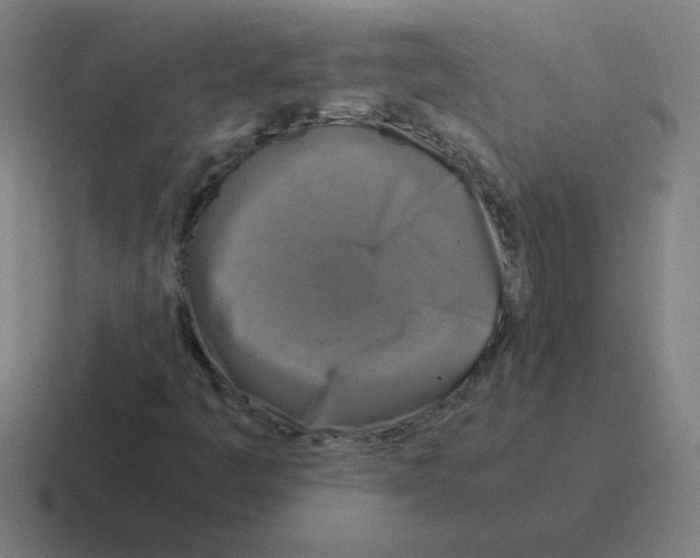 X0000116021445200912312144