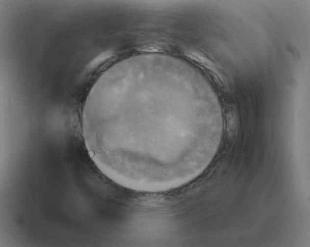 X0000116021446200912312144