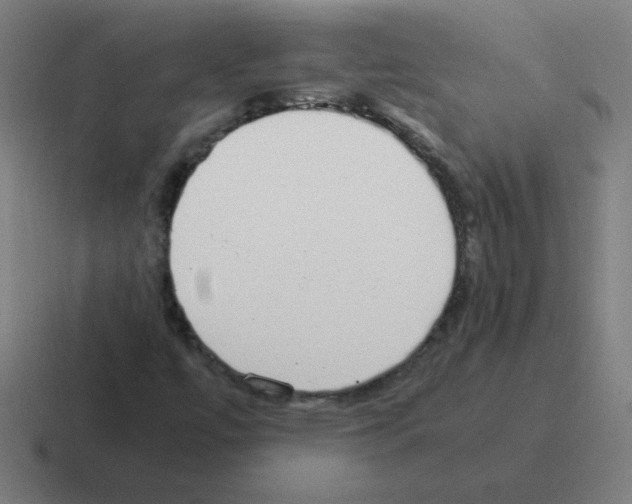 X0000116021447200912312144