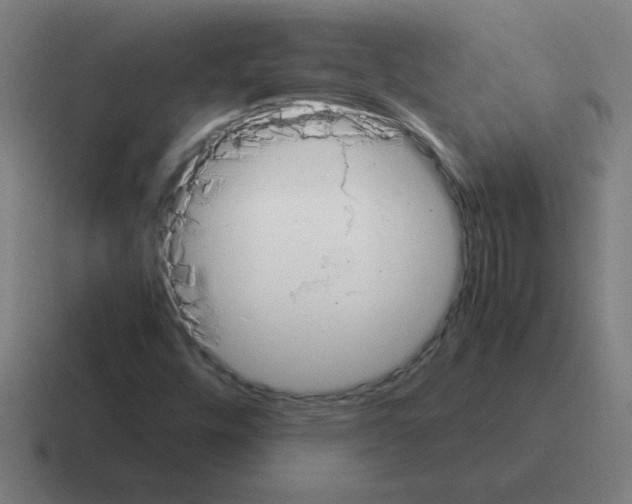 X0000116021448200912312144