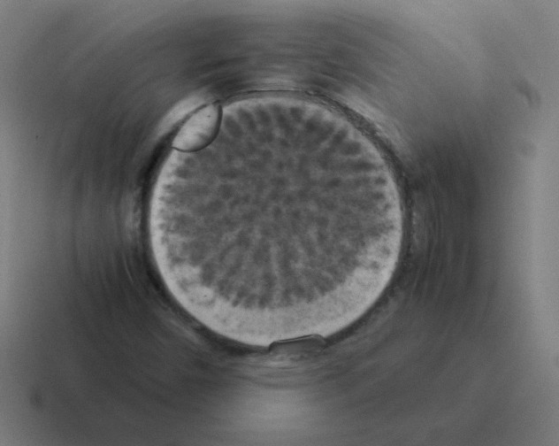 X0000116021450200912312144