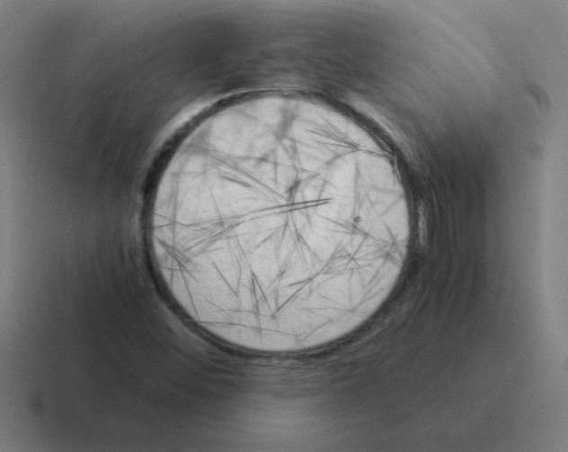 X0000116021452200912312143