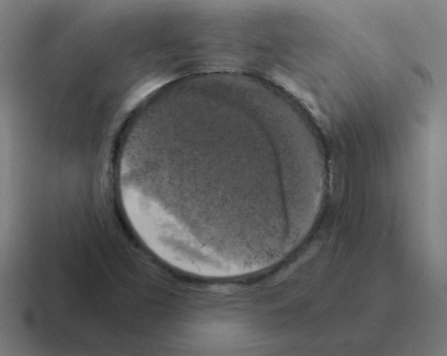 X0000116021453200912312143