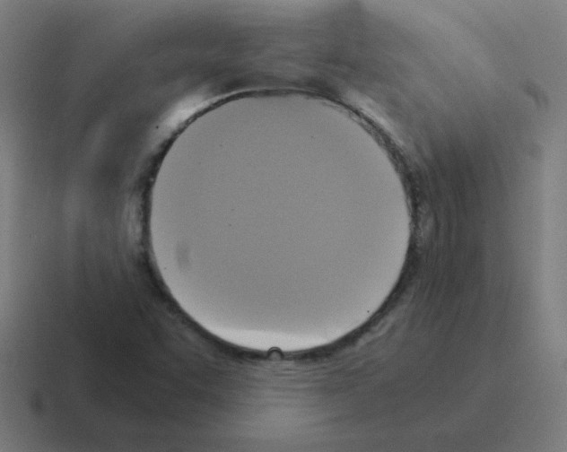 X0000116021455200912312143