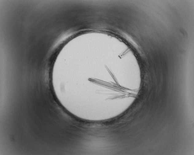 X0000116021456200912312143