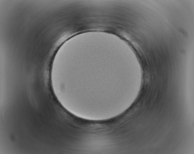 X0000116021459200912312143