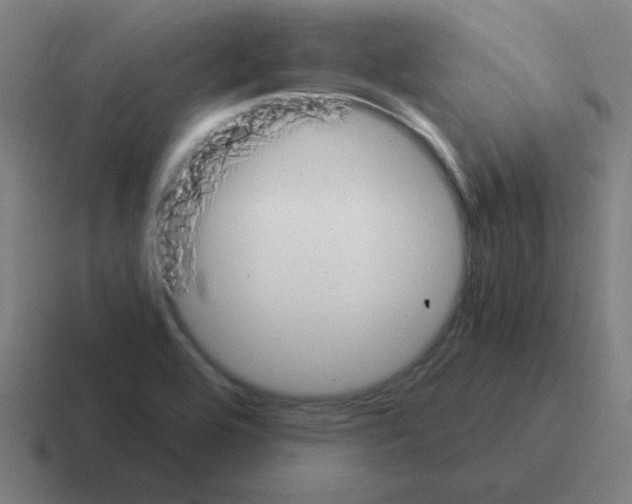 X0000116021464200912312143