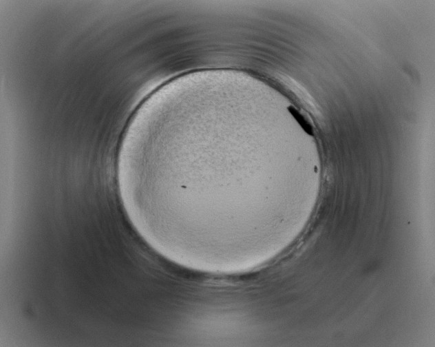 X0000116021465200912312143