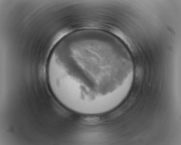 X0000116021466200912312143