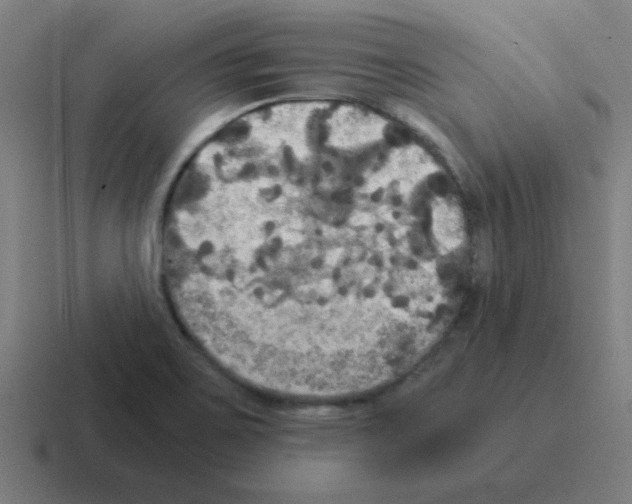 X0000116021467200912312143