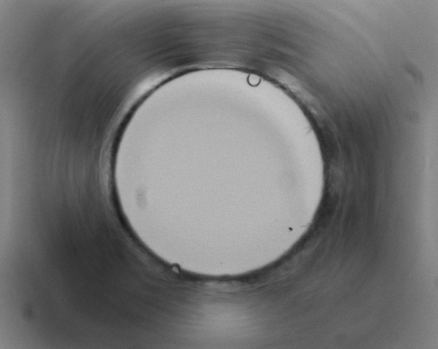 X0000116021469200912312143