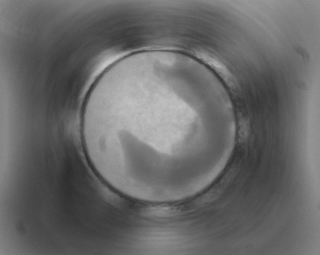 X0000116021470200912312143