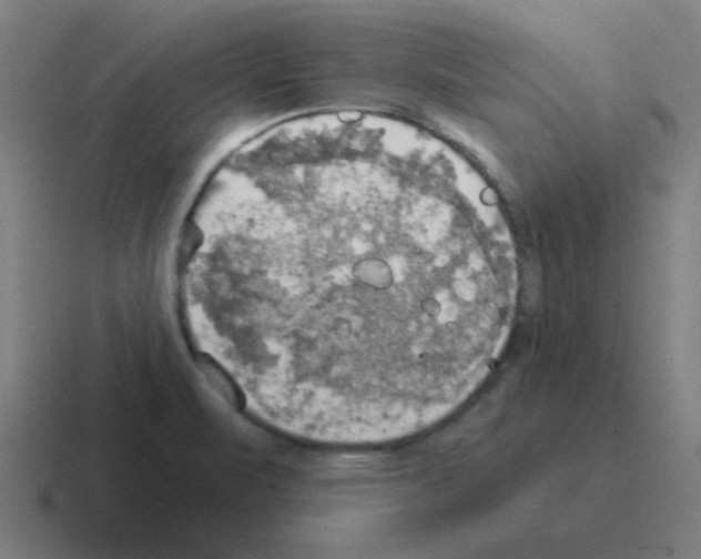 X0000116021471200912312143