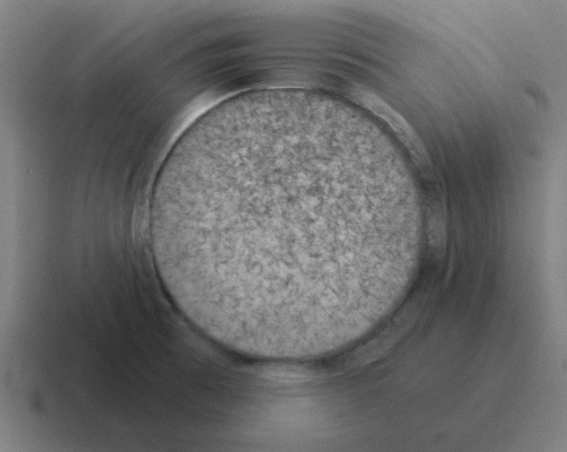 X0000116021473200912312143