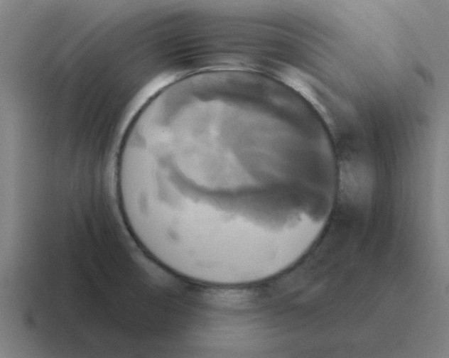 X0000116021474200912312143