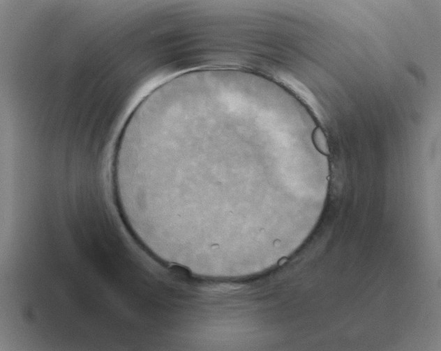 X0000116021475200912312143