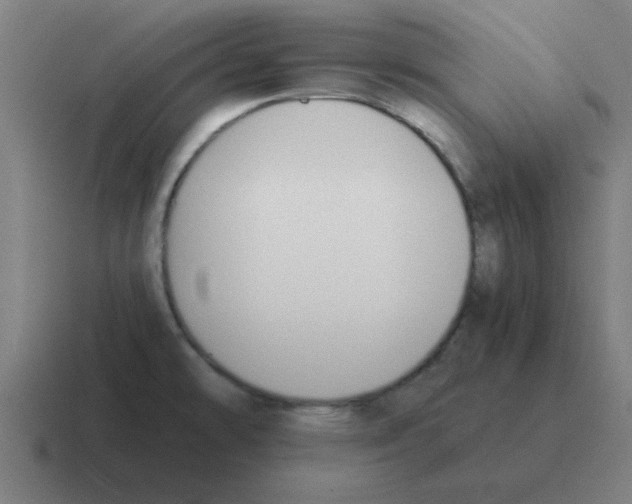 X0000116021478200912312143