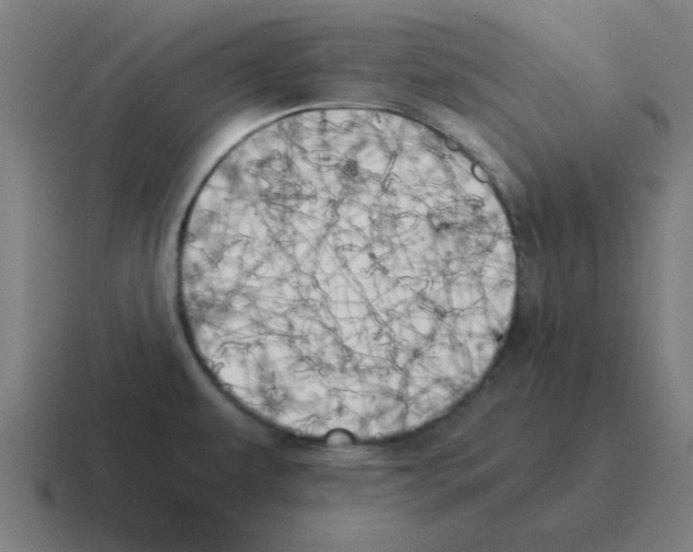 X0000116021479200912312143