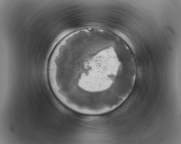 X0000116021482200912312143