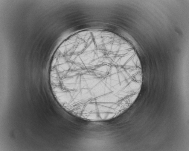 X0000116021483200912312143