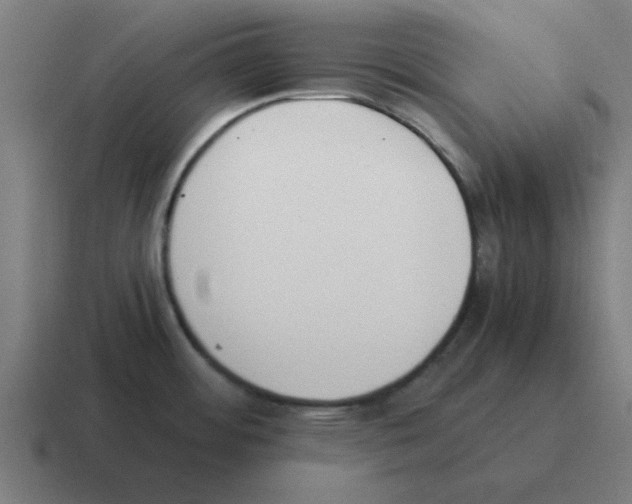 X0000116021484200912312143