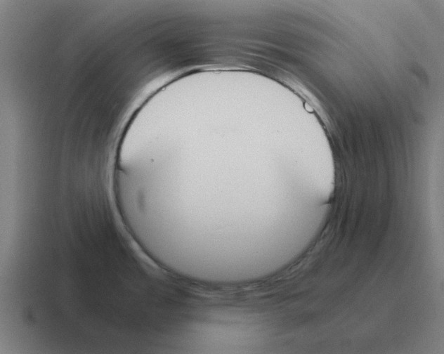 X0000116021485200912312143