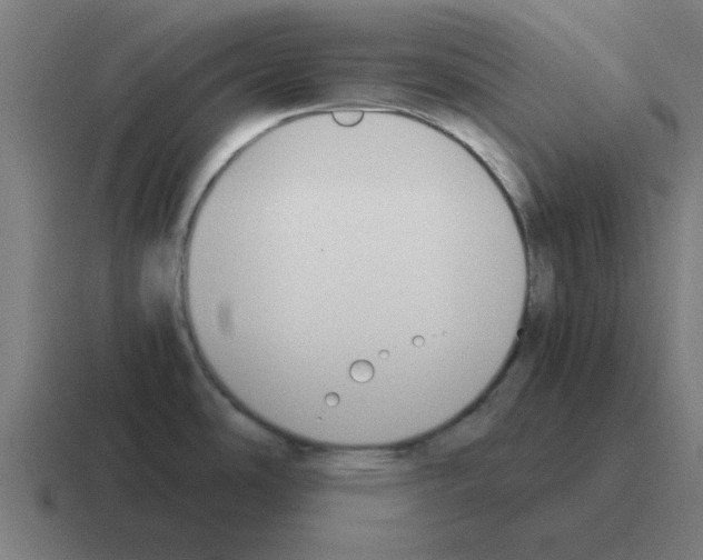 X0000116021486200912312143