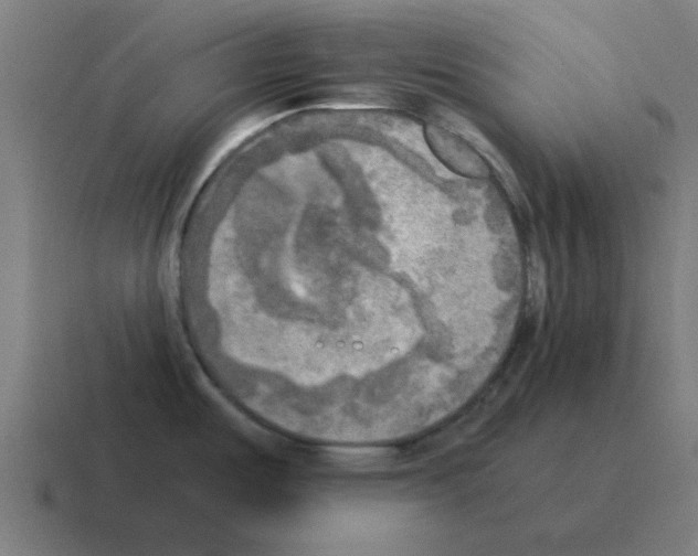 X0000116021487200912312143