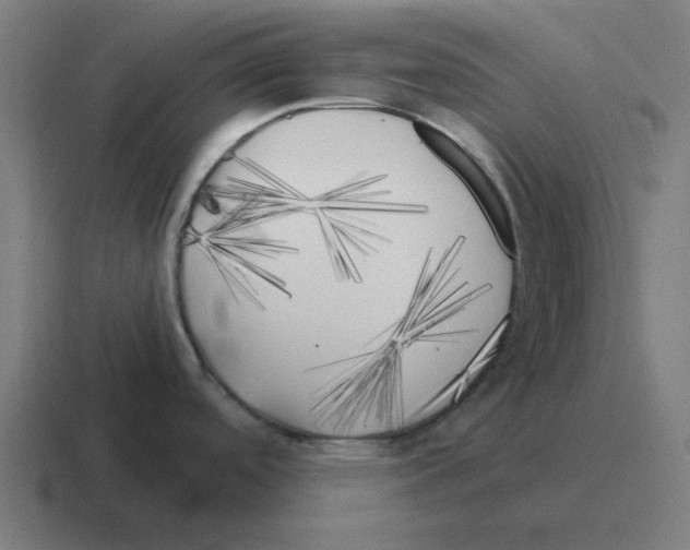 X0000116021488200912312143