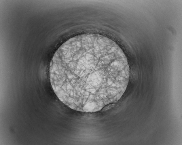 X0000116021490200912312142