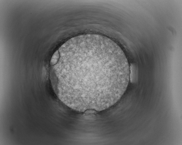 X0000116021491200912312142