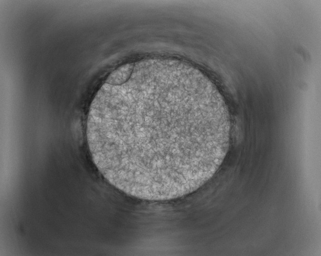 X0000116021493200912312142