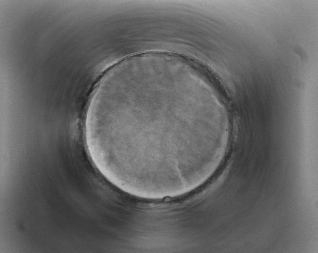 X0000116021497200912312143