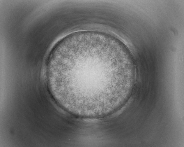 X0000116021498200912312143