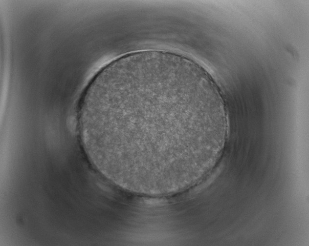 X0000116021501200912312143