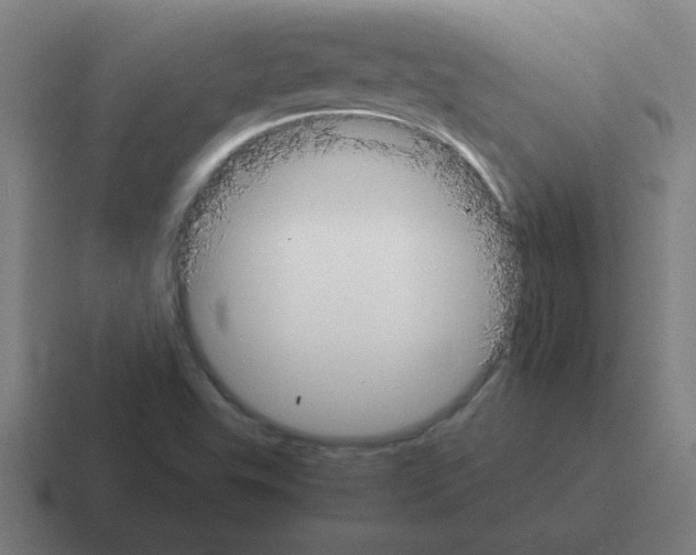 X0000116021503200912312143